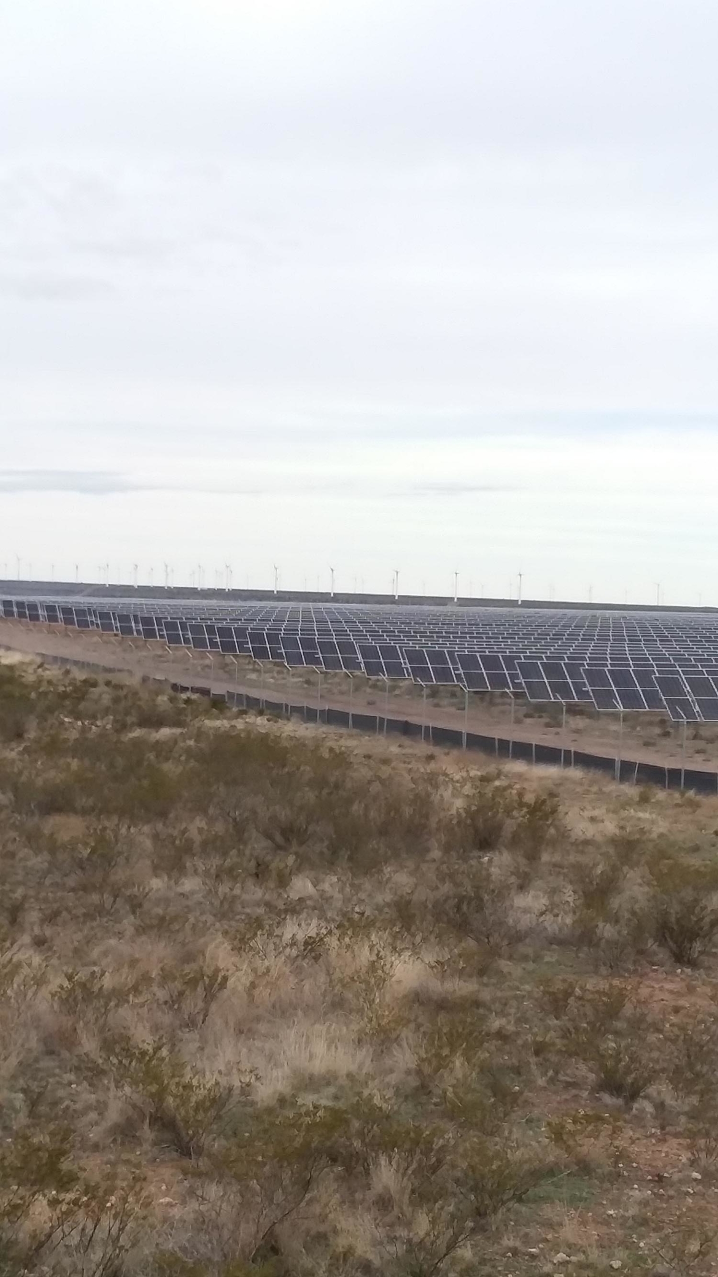 Roadrunner Solar Cielo Wind